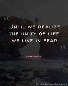 Until we realize the unity of life, we live in fear