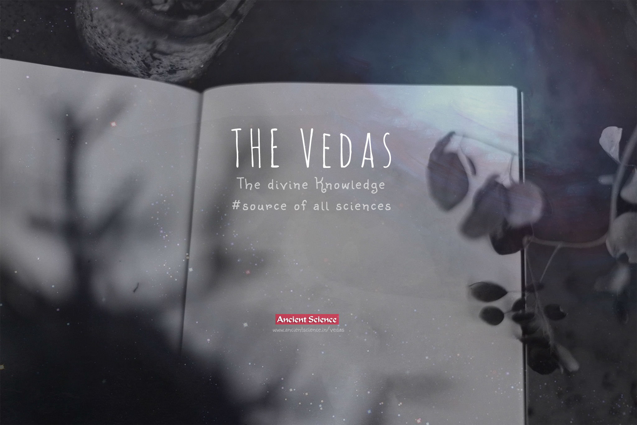 the veda cover