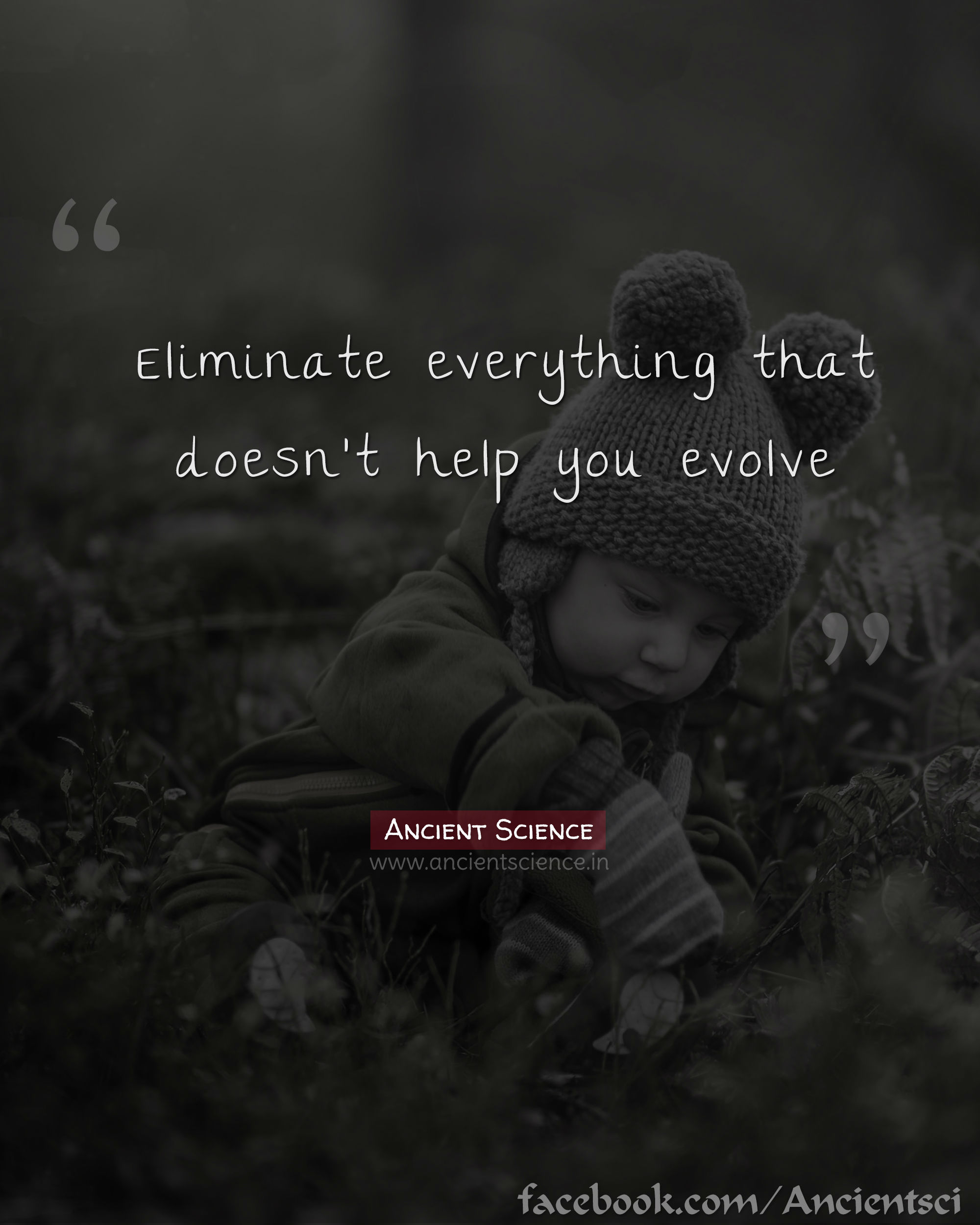 eliminate everything that doesn't help you evolve