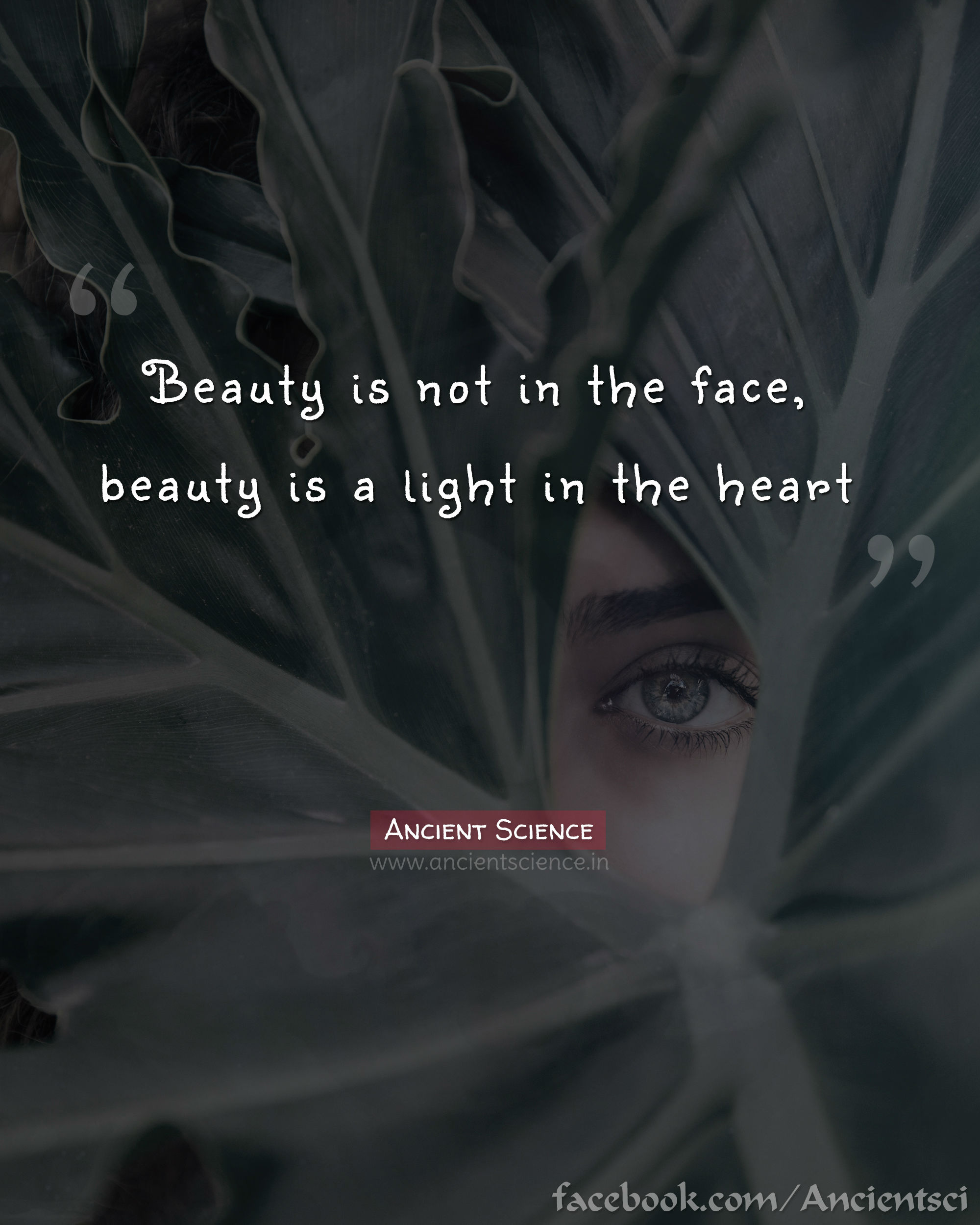 Beauty is not in the face, beauty is a light in the heart.