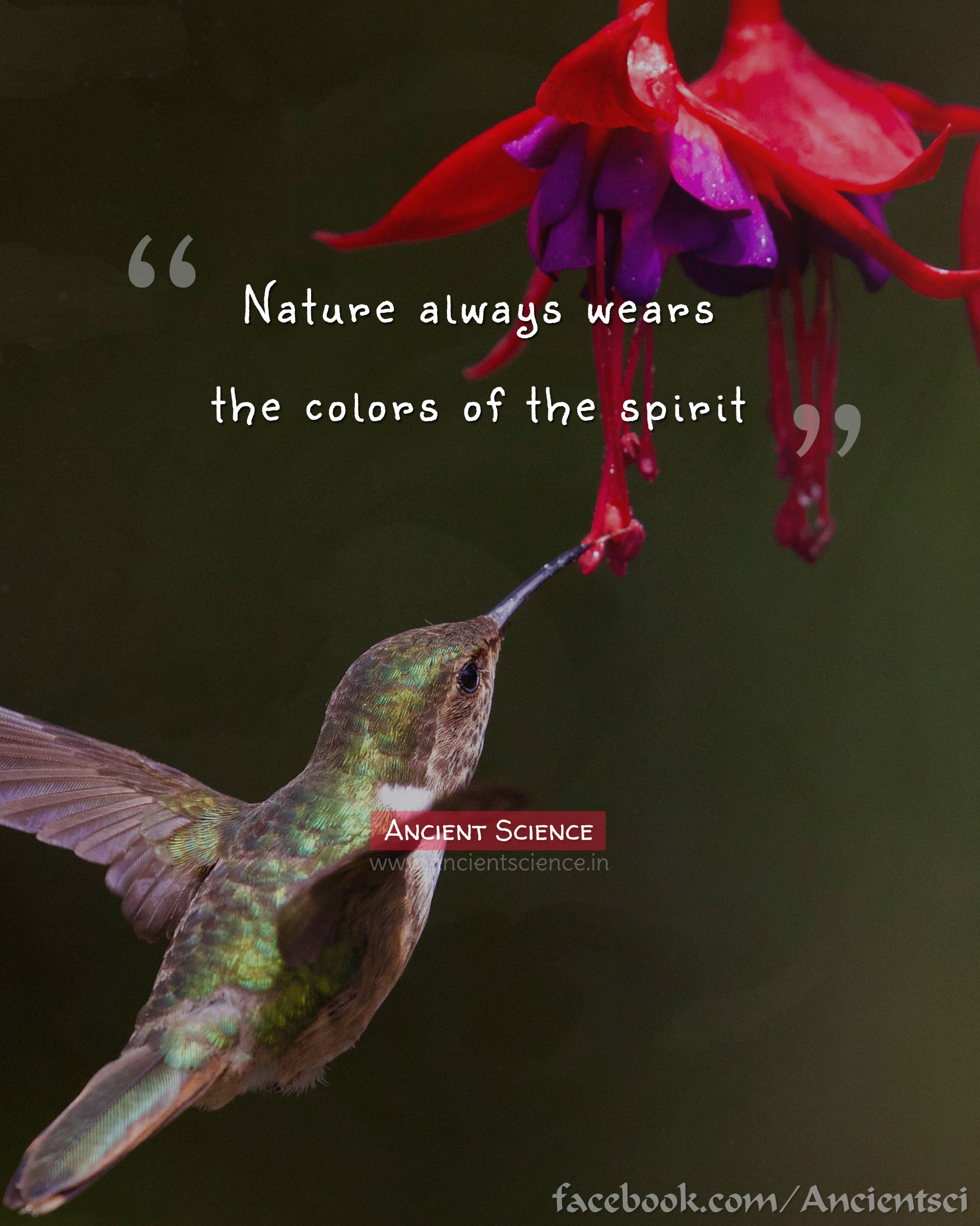 Nature always wears the colors of the spirit.