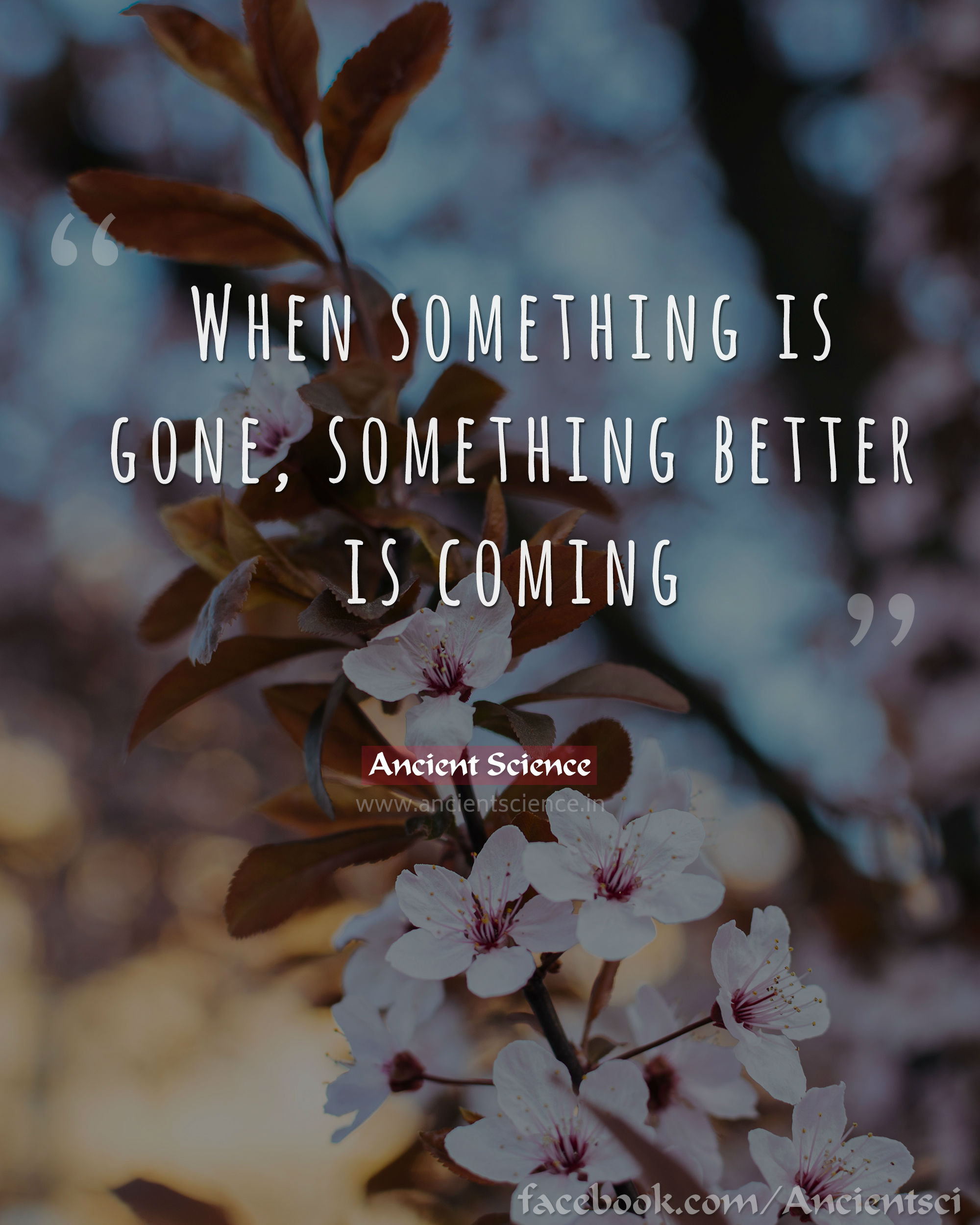 When something is gone, something better is coming