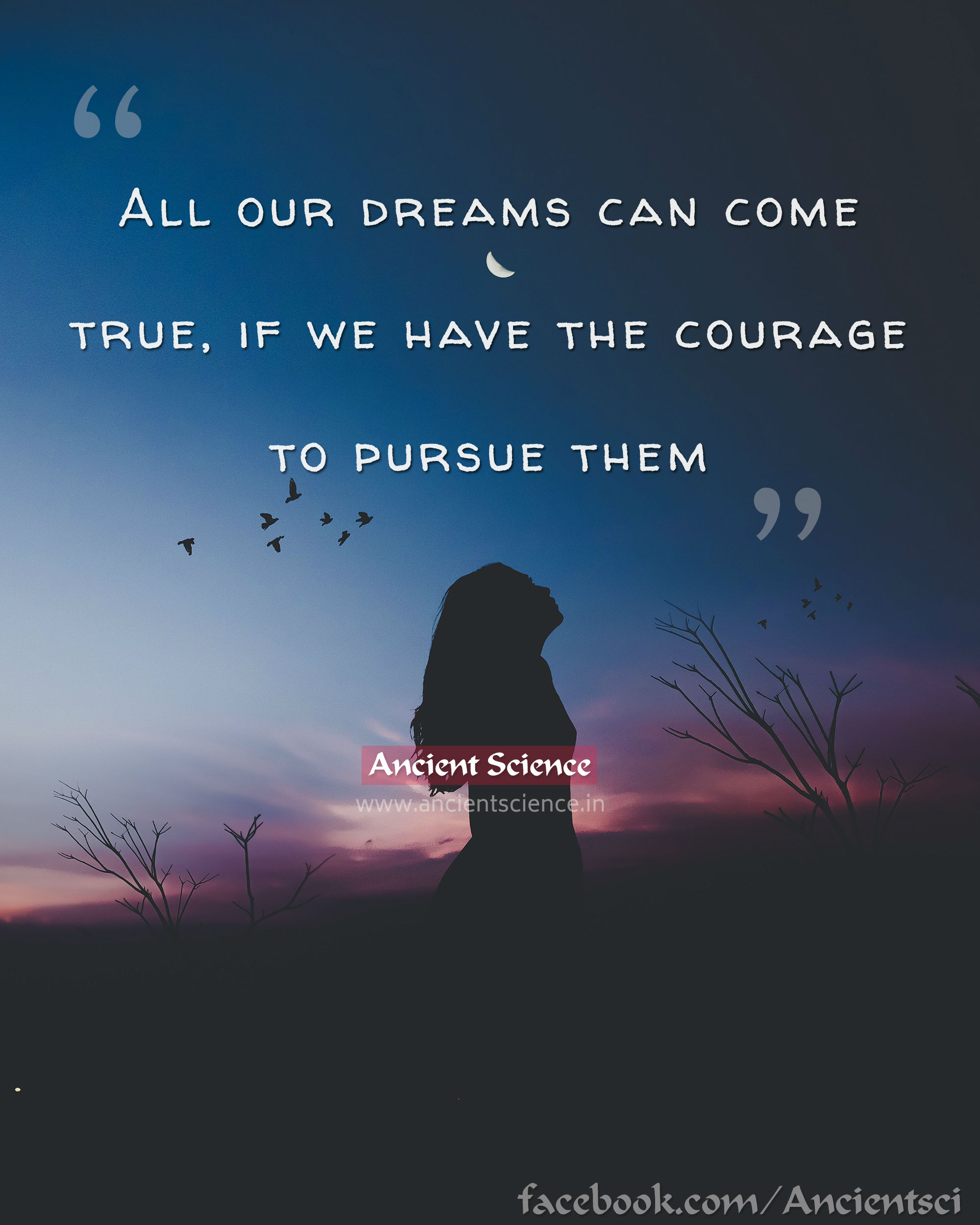 all our dreams can come true if we have the courage to pursue them