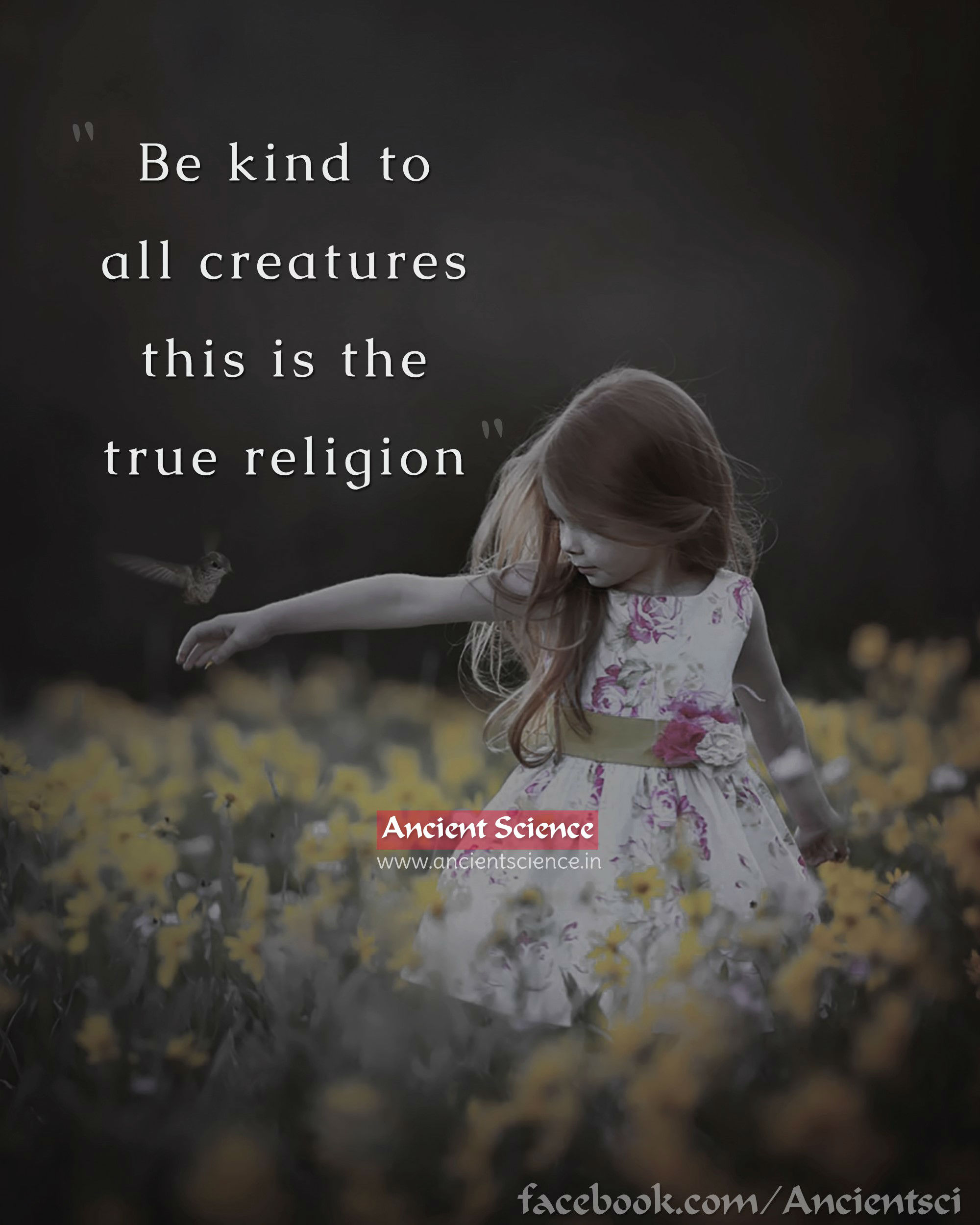 Be kind to all creatures, this is the true religion