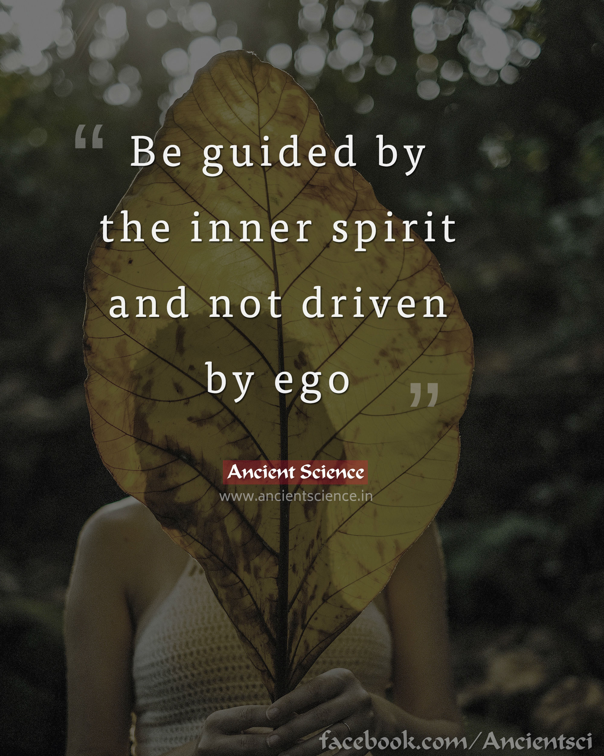 Be guided by the inner spirit and not driven by ego.