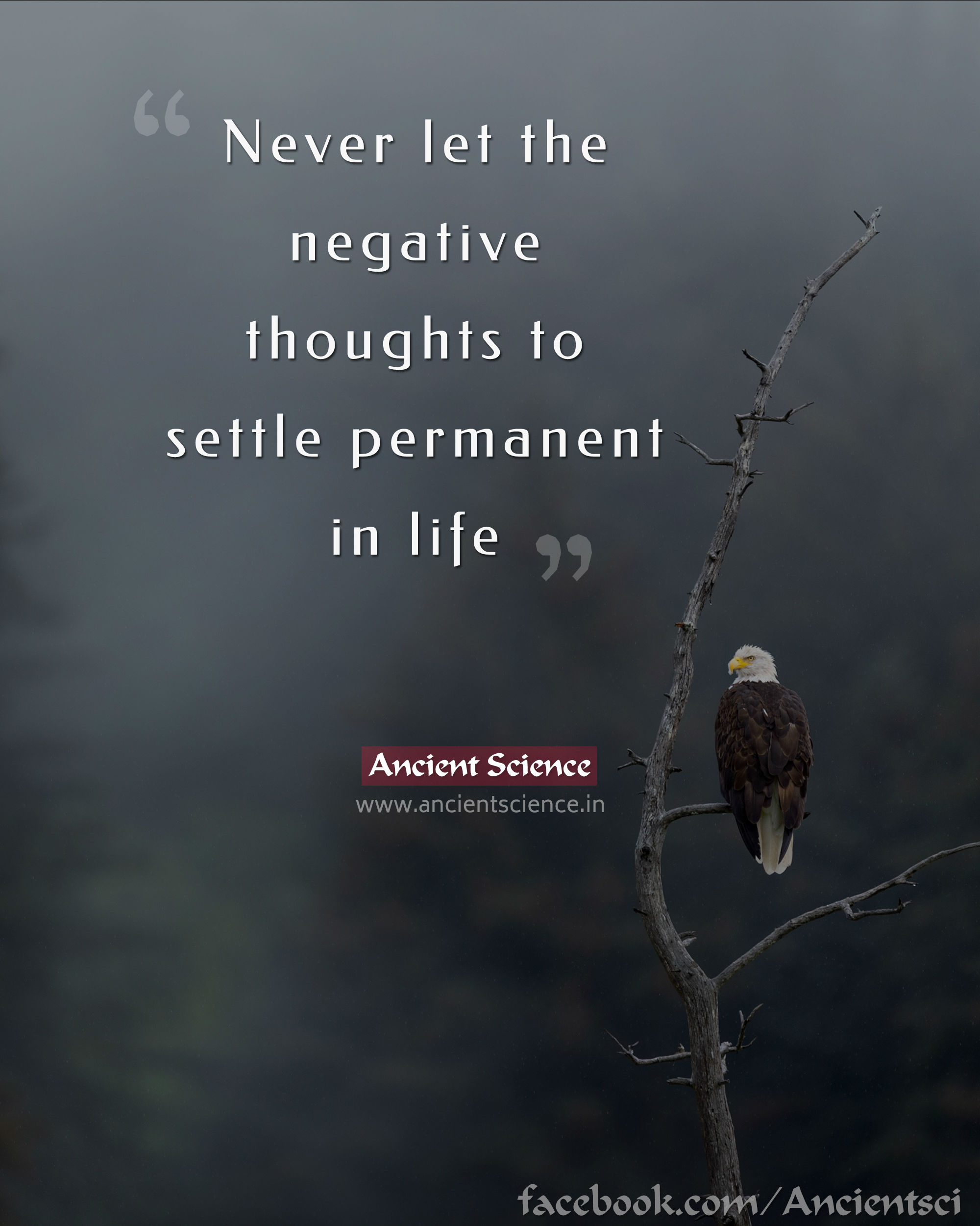 Never let the negative thoughts to settle permanent in life..