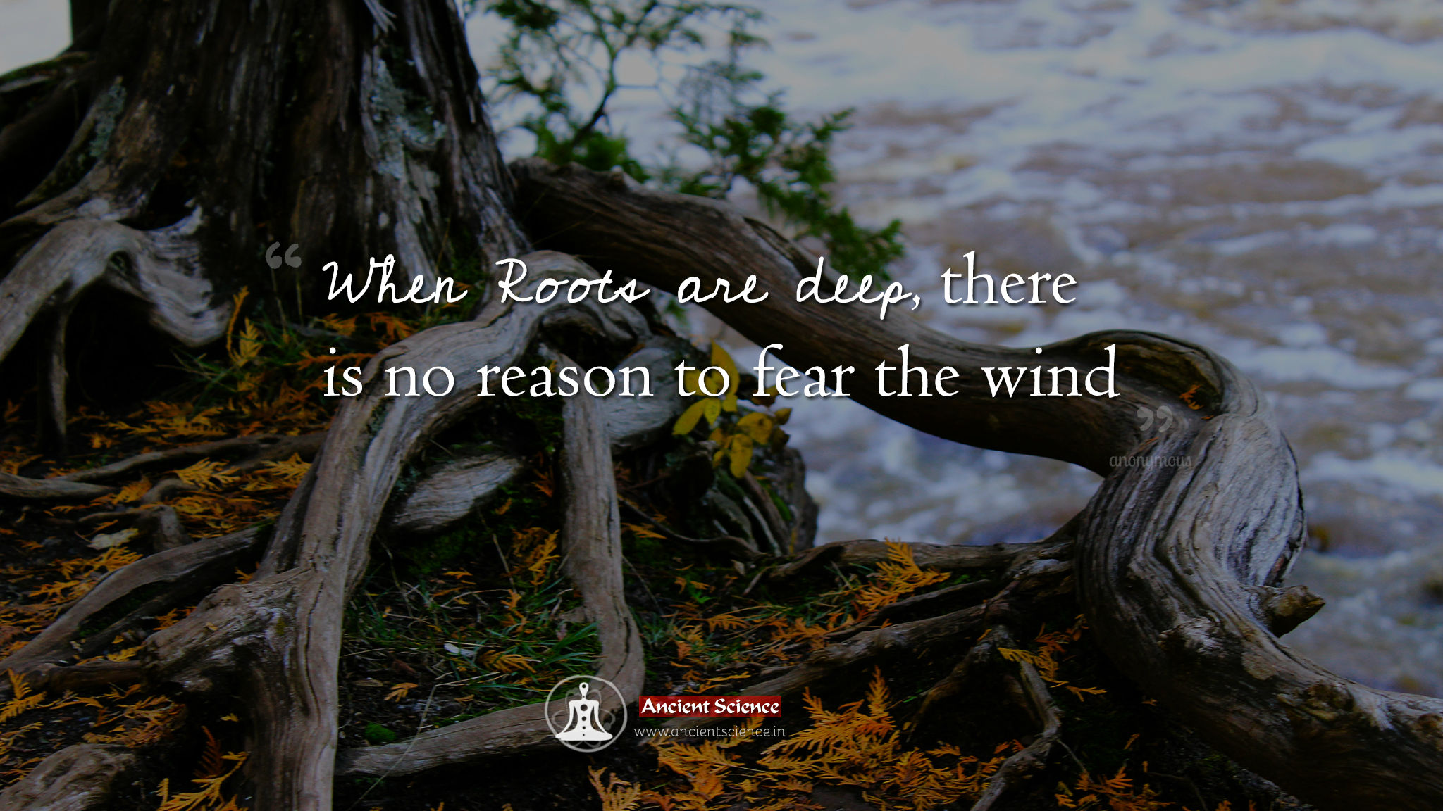 When roots are deep, there is no reason to fear the wind.