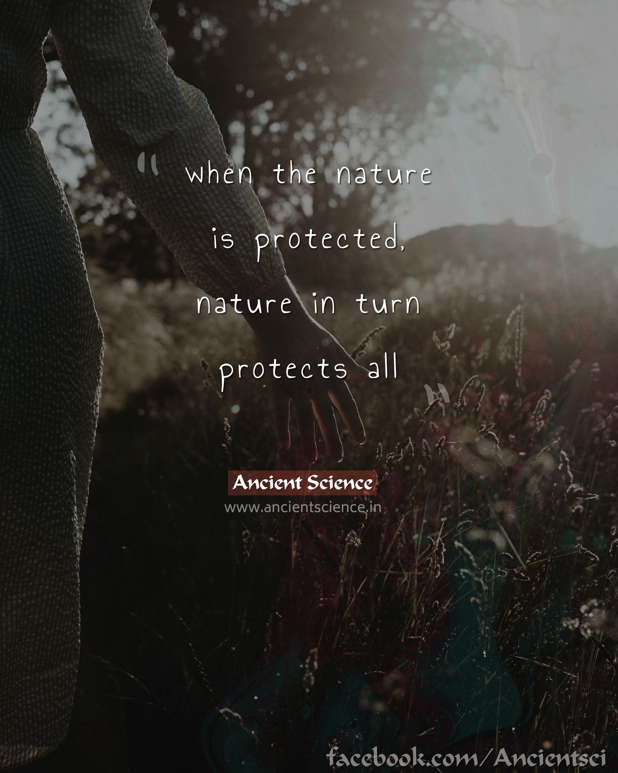 when the nature is protected, nature in turn protects all.