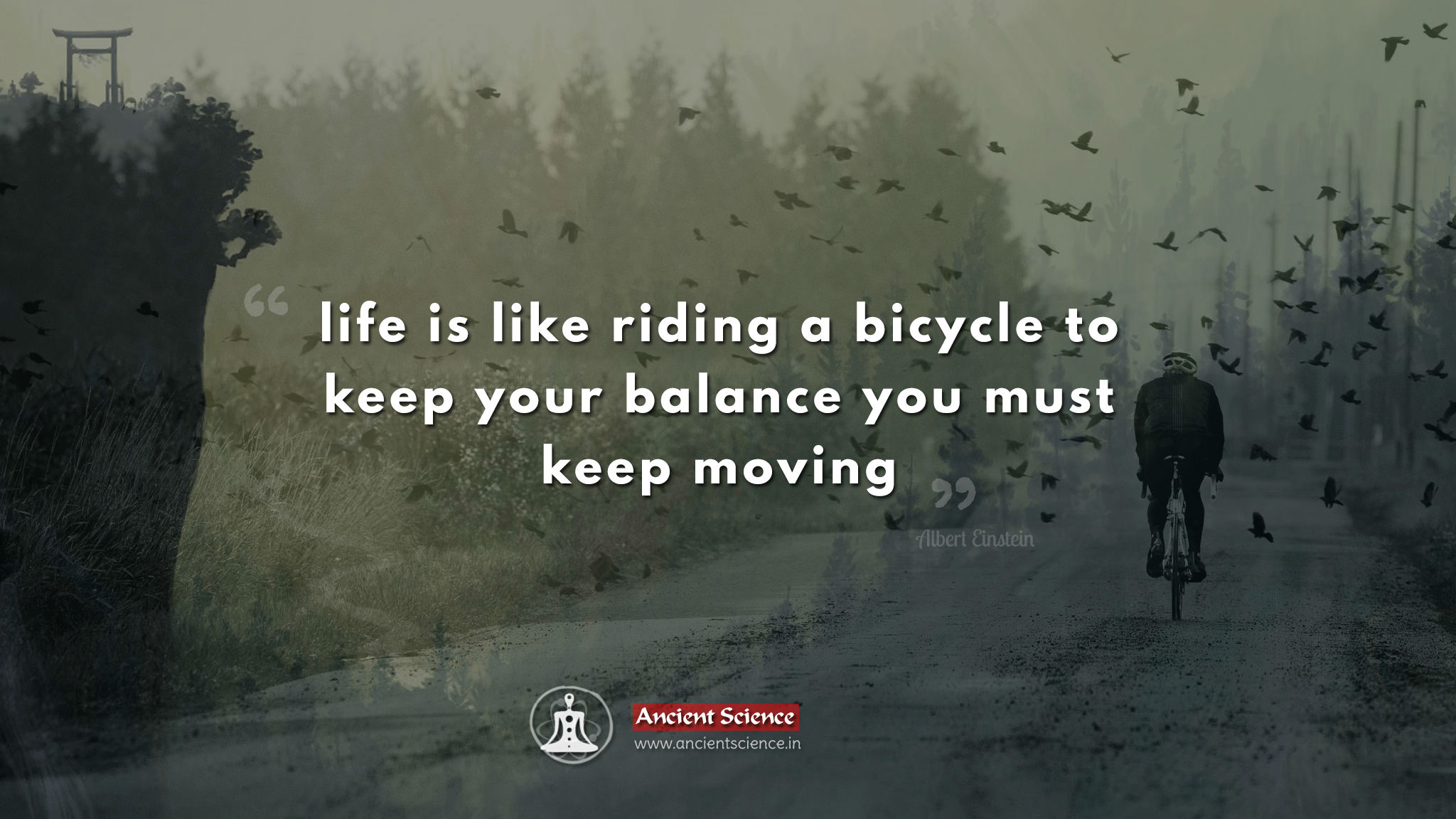 life is like riding a bicycle to keep your balance you must keep moving