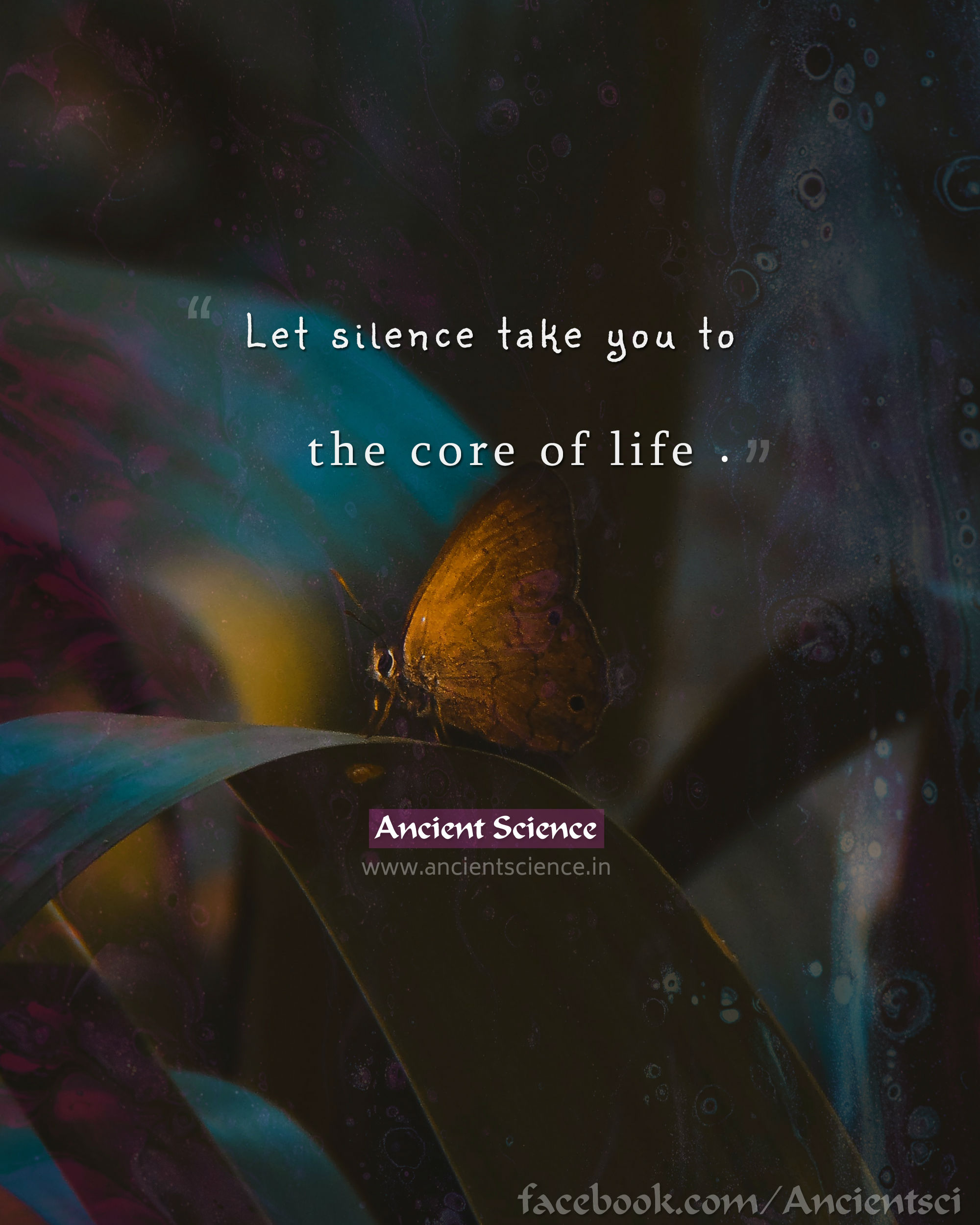 Let silence take you to the core of life. — Rumi