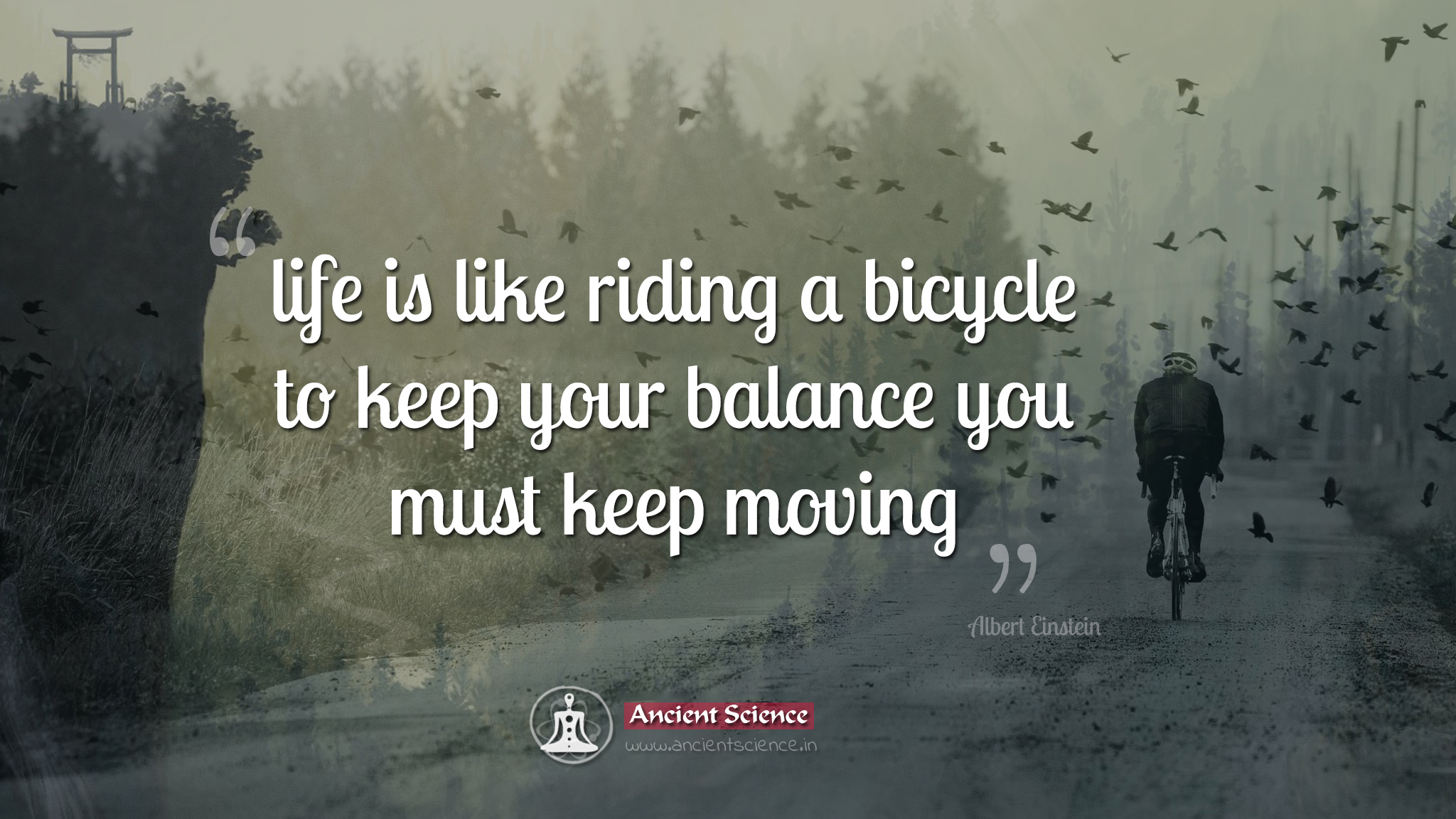 life is like riding a bicycle to keep your balance you must keep moving